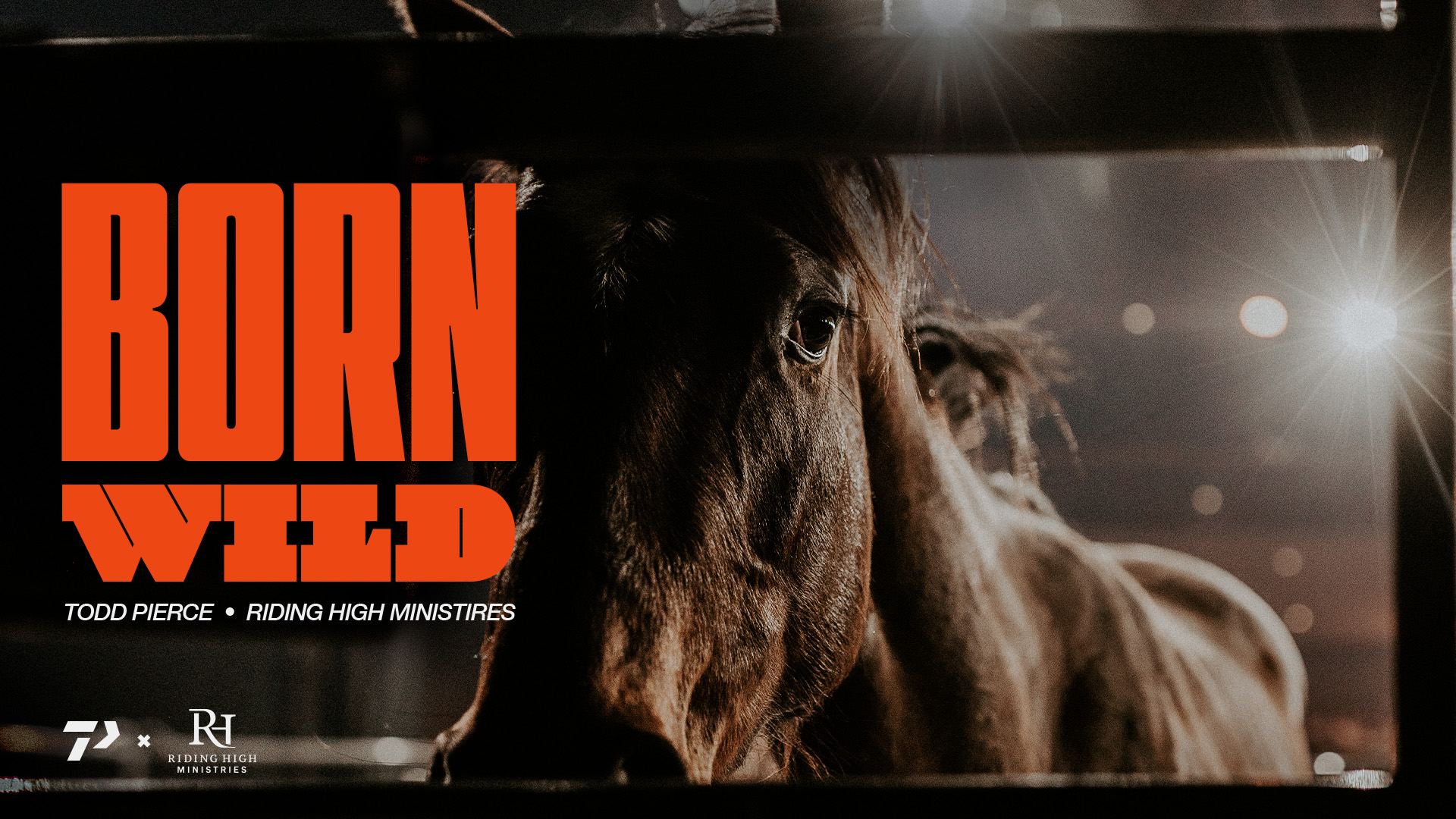 Born Wild with Todd Pierce